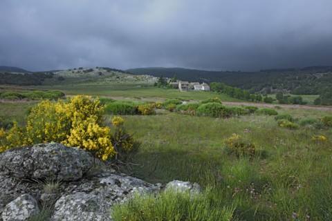 Pont de Montvert, Lozère