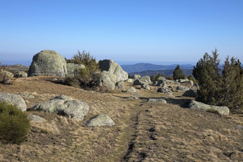 Mont-Lozère, Lozère