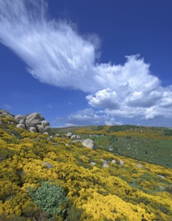 Vialas, Lozère