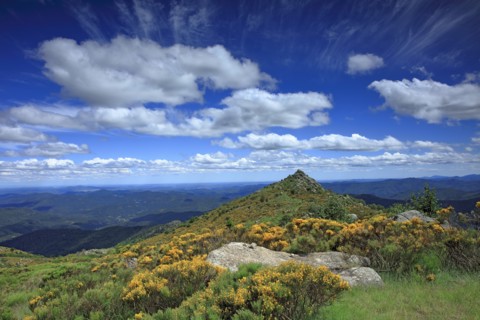 Vialas, Lozère