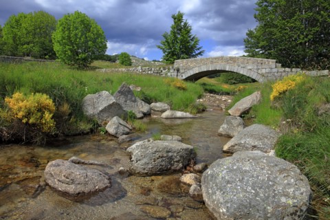Paysage du Mont Lozère