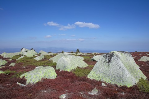 Mont-Lozère, Lozère