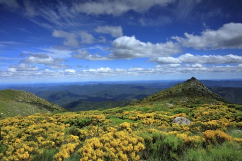 Vialas, Lozère