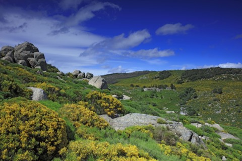 Vialas, Lozère