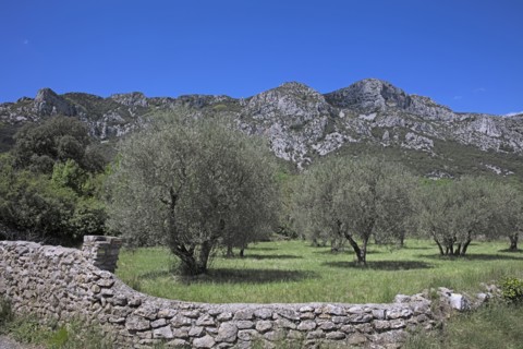 Saint-Jean-de-Buèges, Hérault