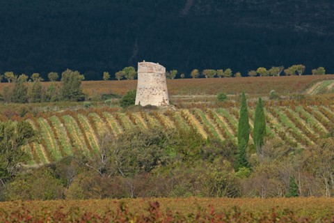 Paysage des Corbières, Aude