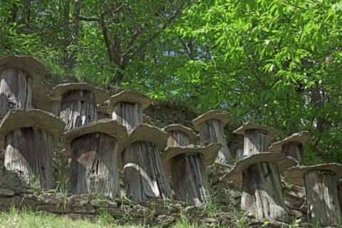 Gagnières, Gard