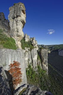 Le Rosier, Aveyron