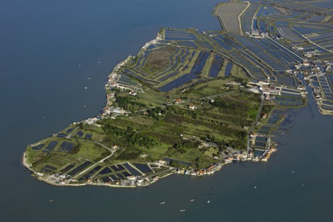 Bourcefranc-le-Chapus, Charente-Maritime