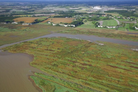 Paysage de l'estuaire de la Gironde, Charente-Maritime