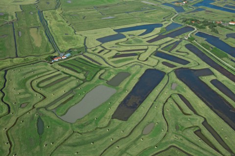 Beauvoir-sur-Mer, Vendée