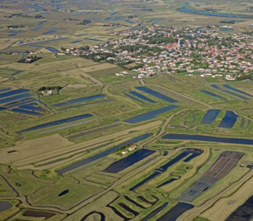 Bouin, Vendée
