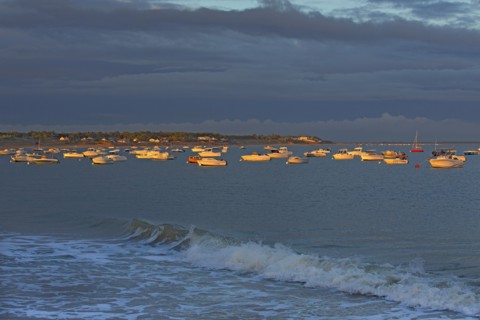 La-Tranche-sur-Mer, Vendée