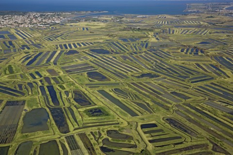 Noirmoutier-en-l'Ile, Vendée