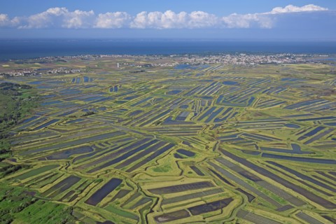 Noirmoutier-en-l'Ile, Vendée
