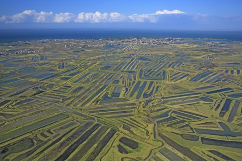 Noirmoutier-en-l'Ile, Vendée