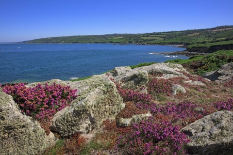 Baie de Quervière, Manche