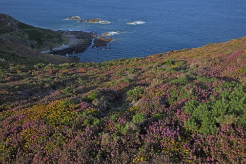 La Hague, Manche