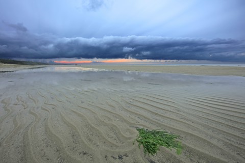 Urville-Nacqueville, Manche