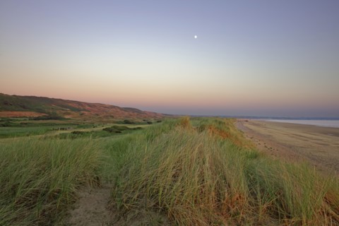Dune massif at Biville, Manche