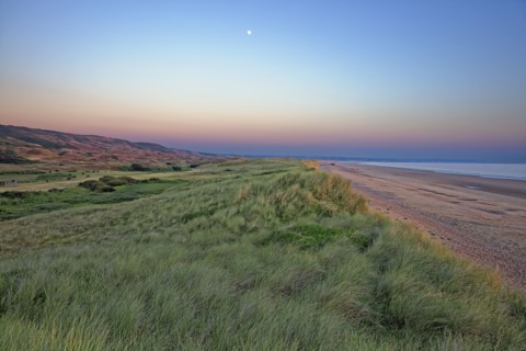 Dune massif at Biville, Manche