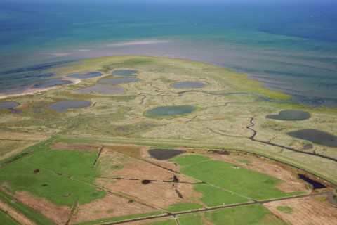 Baie des Veys, Manche