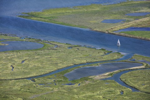 Baie des Veys, Manche