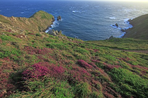 Cap de la Hague, Manche