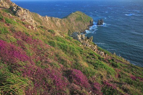 Cap de la Hague, Manche