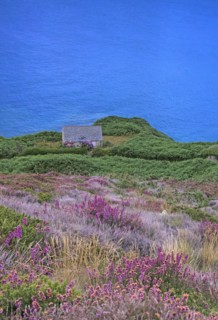 Baie de Quervière, Manche