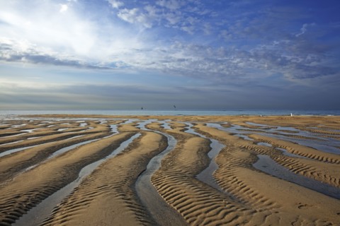 Plage à marée basse, Manche