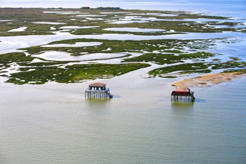 Arcachon, l'ile aux oiseaux, Gironde