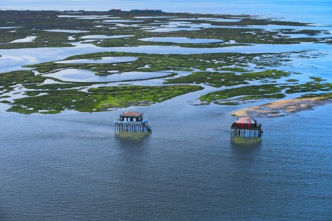 Arcachon, l'ile aux oiseaux, Gironde