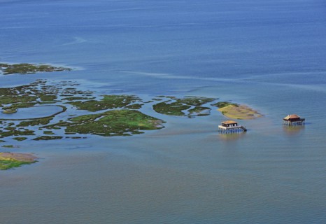 Arcachon, l'ile aux oiseaux, Gironde