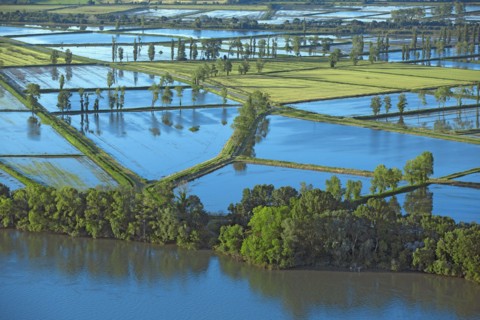 Rhone delta, Bouches-du-Rhône