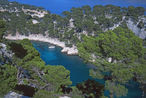 Cassis, la calanque de Port-Pin, Bouches-du-Rhône