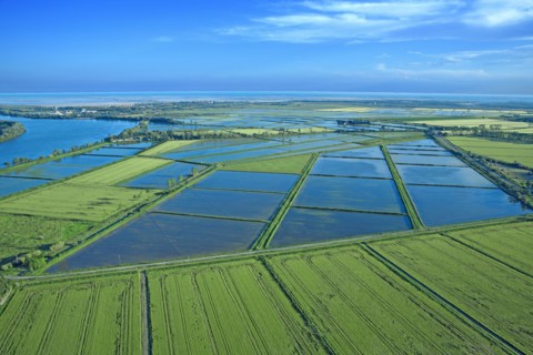 Rhône Delta, Bouches-du-Rhône