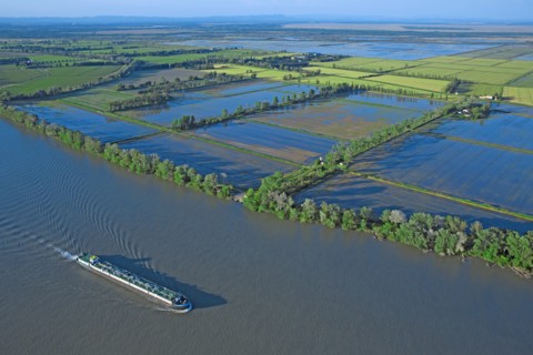 Salt marsh landscape, Bouches-du-Rhône