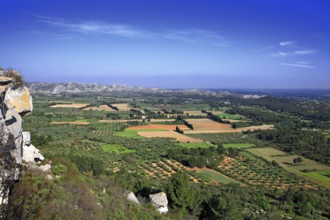 Paysage de la plaine des Baux, Bouches-du-Rhône