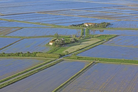 Rhône Delta, Bouches-du-Rhône