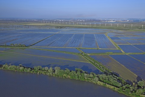 Port-Saint-Louis-du-Rhône, Bouches-du-Rhône