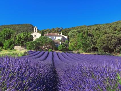 Montbrison sur Lez, Drôme