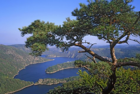 Paysage des Gorges de la Loire, Loire
