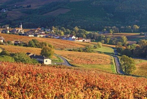Juliénas, Rhône