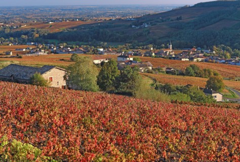 Juliénas, Rhône