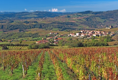 Oingt, Rhône