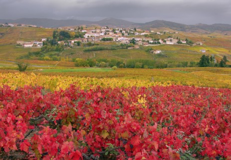 Vaux-en-Beaujolais, Rhône