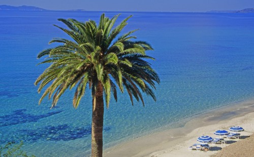 Nice, Alpes-Maritimes
