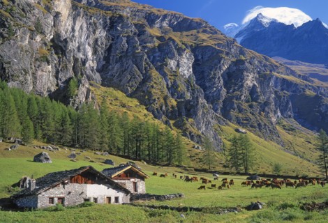 Peisey-Nancroix, Savoie