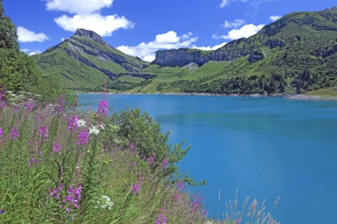 Beaufort-sur-Doron, Savoie